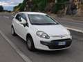 Fiat Punto GPL Bianco - thumbnail 5