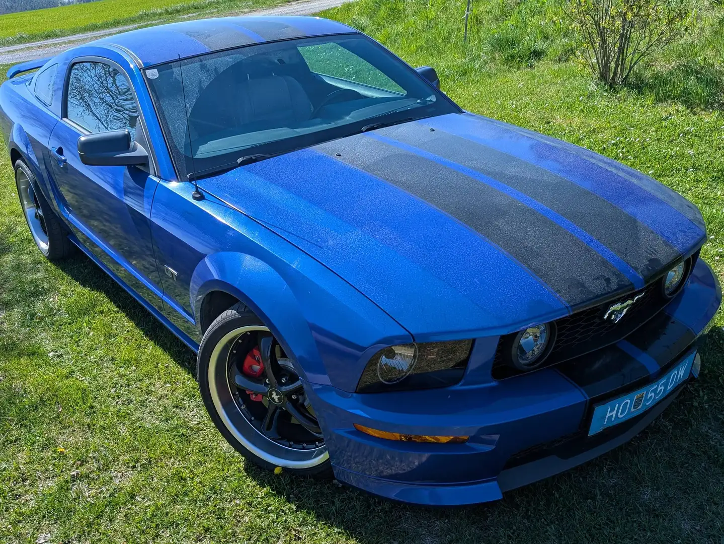Ford Mustang Mustang GT Blau - 1