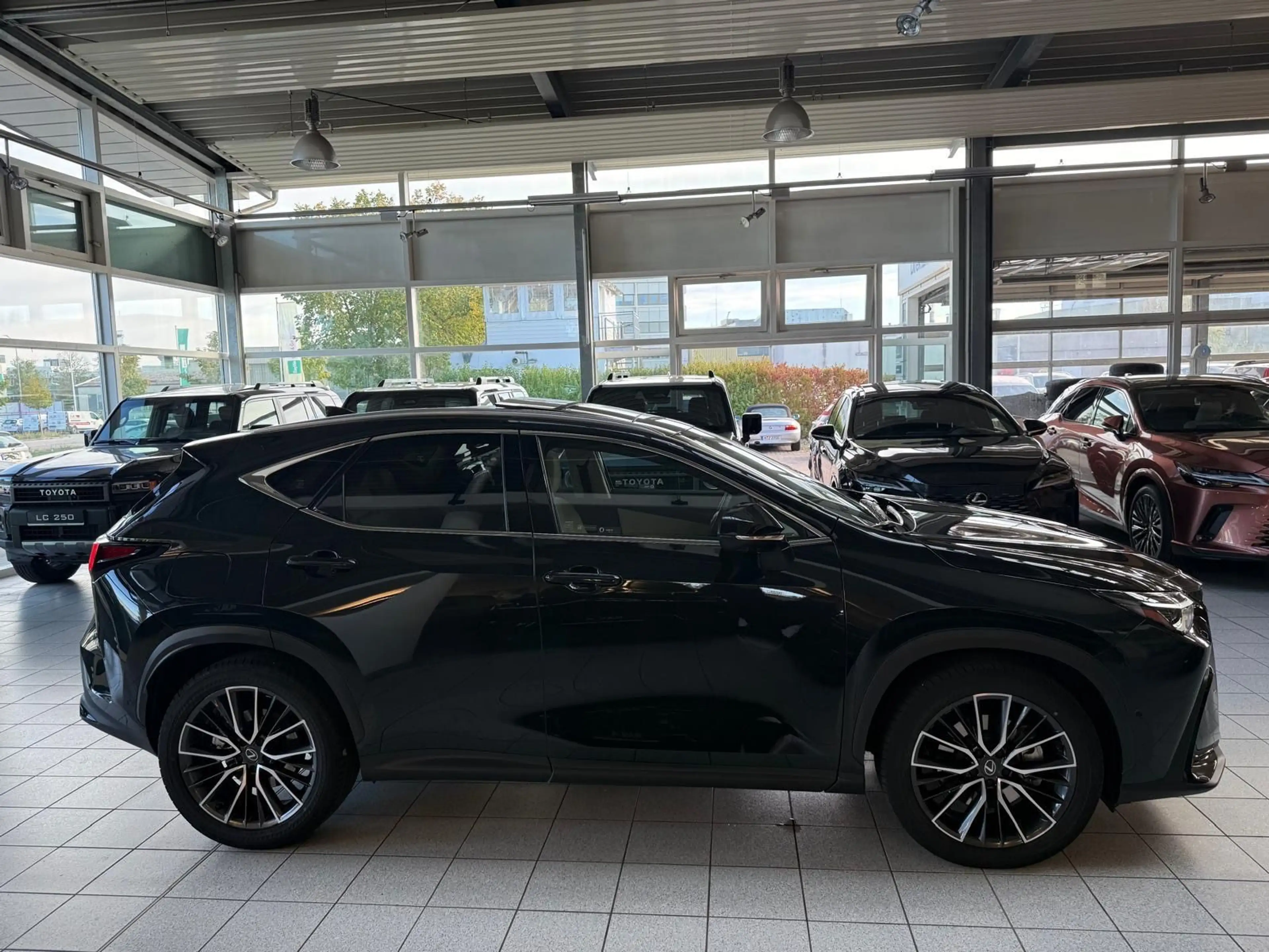 Lexus Others NX 450h-LUXURY-PHEV-PANORAMA-MARK L.-HUD-360C. — photo 10