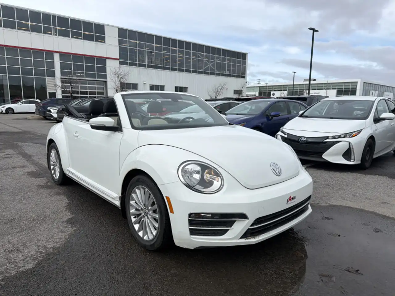 Volkswagen Beetle снимка Volkswagen Beetle