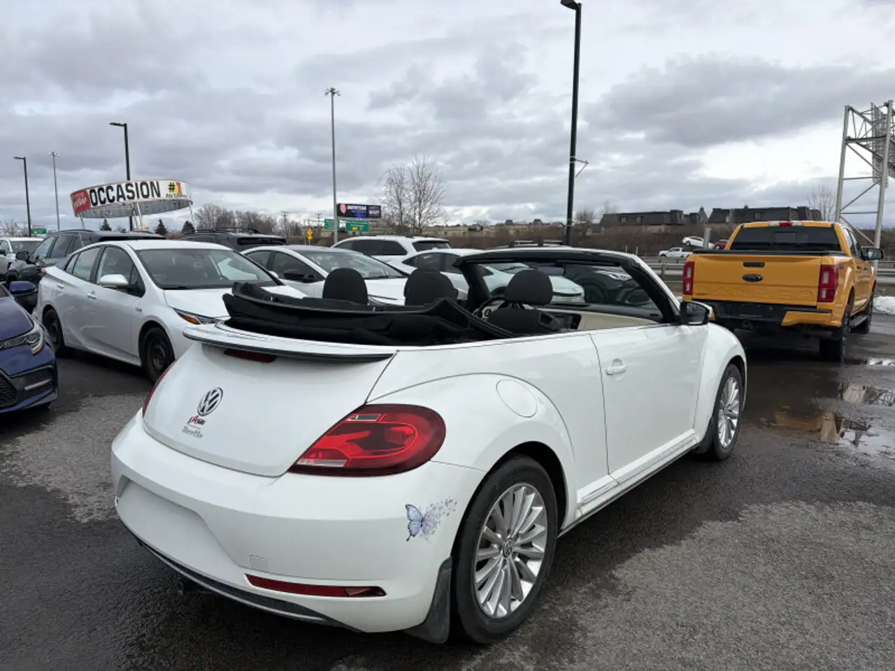 Volkswagen Beetle снимка Volkswagen Beetle