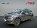Skoda Kamiq Tour 1,0 TSI 70 kW 5-Gang-Schaltgetriebe AHK Grijs - thumbnail 1