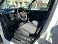 Fiat Doblo Doblò 1.6 MJT 105CV PC-TN Cargo Lamierato Blanc - thumbnail 8