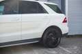 Mercedes-Benz ML 350 M-klasse AMG Panoramadak Harman/Kardon Navi Diamon Blanc - thumbnail 32
