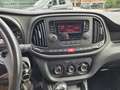 Fiat Doblo Doblo Maxi 1.6 mjt 16v Dynamic 105cv PL-TN Lamie White - thumbnail 12