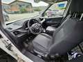 Fiat Doblo Doblo Maxi 1.6 mjt 16v Dynamic 105cv PL-TN Lamie White - thumbnail 8