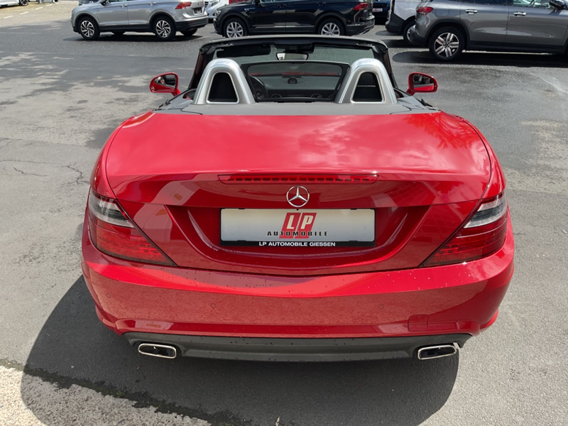 Mercedes-Benz SLK 250 CDI Cabriolet AMG-Line H&K Bi-Xenon Navi — photo 14