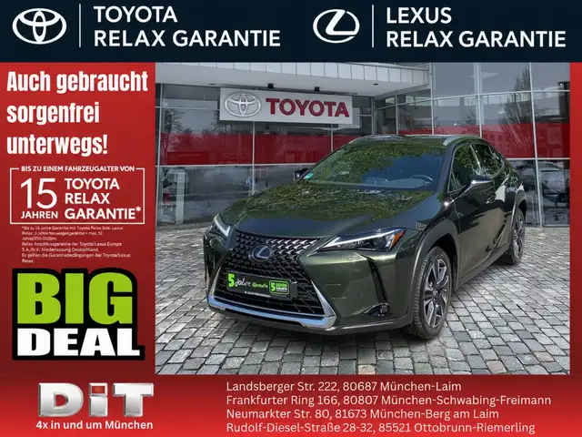 Lexus UX 250h UX 250 h Style Edition zuverlässiger GW