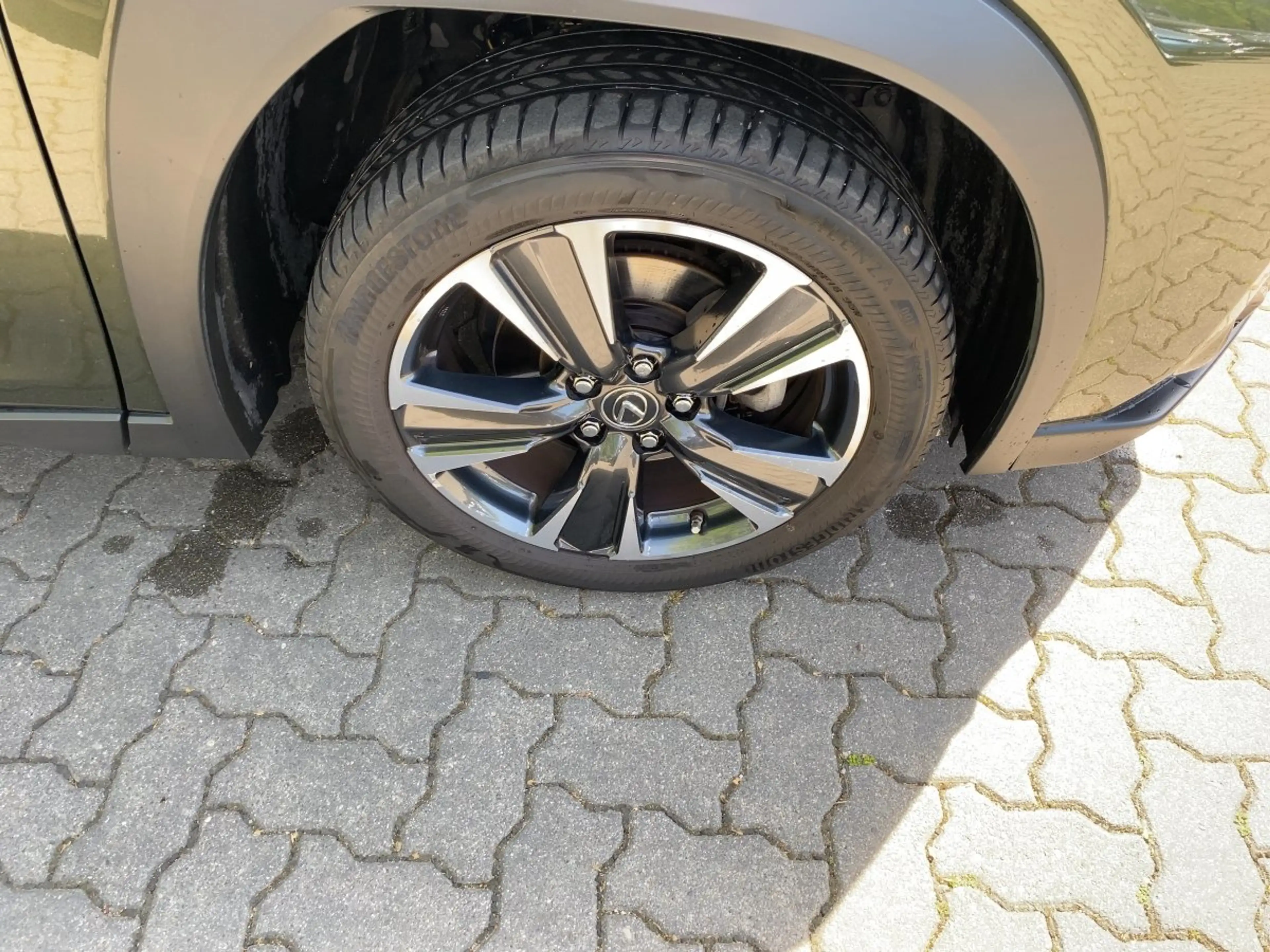 Lexus UX 250h UX 250 h Style Edition zuverlässiger GW — photo 10