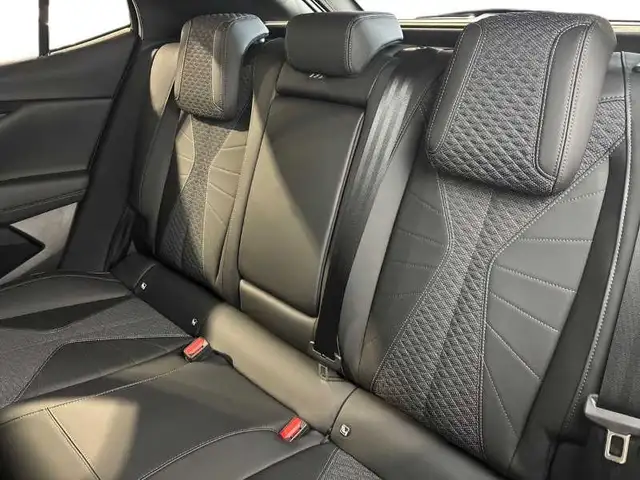 DS Automobiles DS 4 view 9