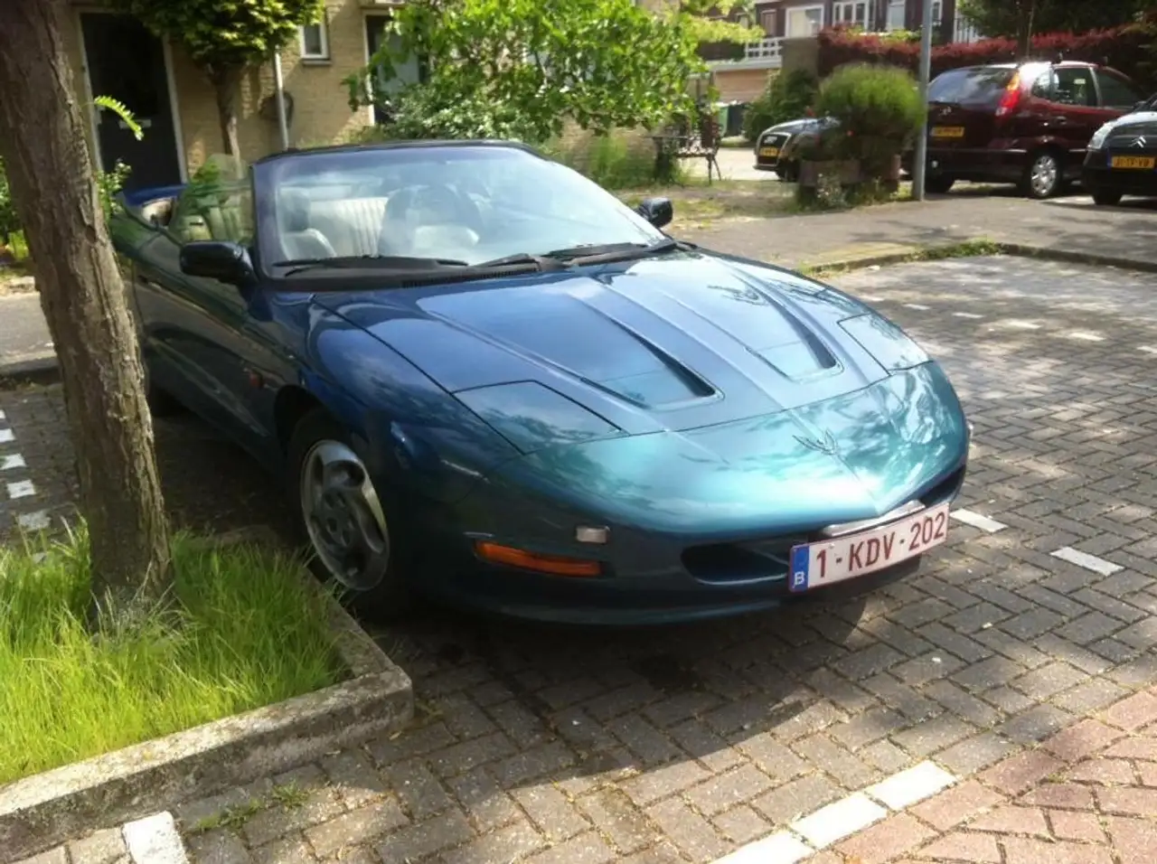Pontiac Firebird Cabrio 3,4 V6, foto 6