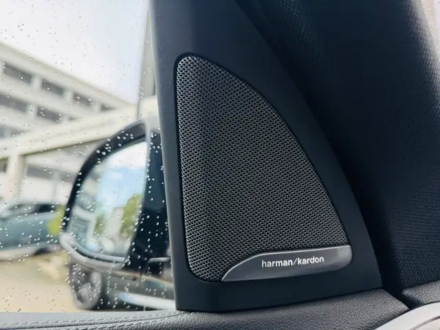 BMW X5 view 19