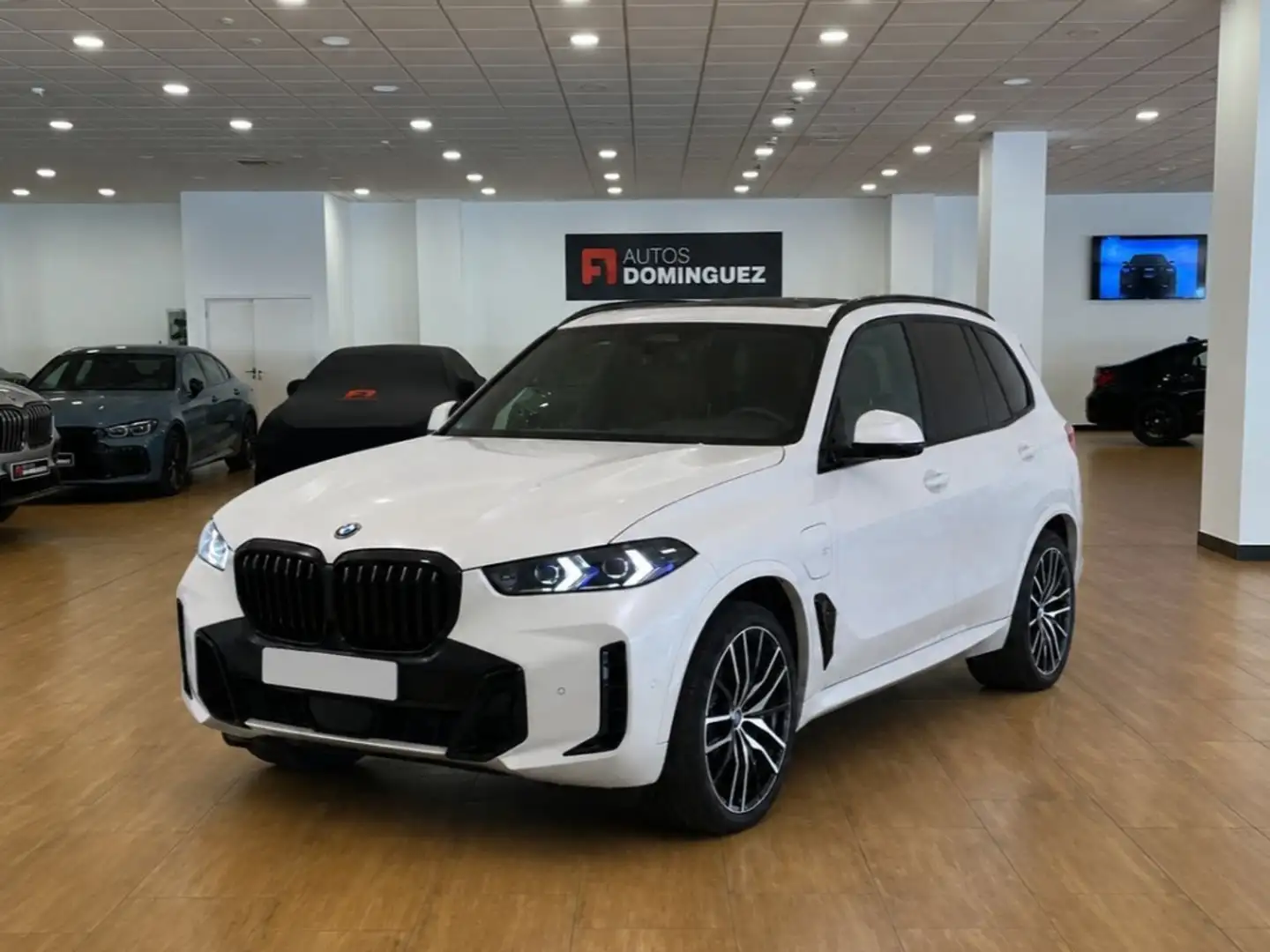 BMW X5 xDrive 50e xLine Blanco - 1