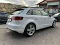 Audi A3 A3 Sportback 2.0 tdi Ambiente Bianco - thumbnail 8