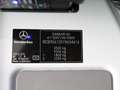 Mercedes-Benz Sprinter 316CDI Automaat Verkoopauto | Koelauto | Marktauto Weiß - thumbnail 27