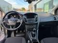 Ford Focus Focus 1.5 TDCi 120CV S&S Titanium Grigio - thumbnail 15