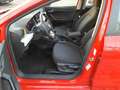 SEAT Ibiza Style 1.0 TSI*KAM*SHZ*LED*PDC*AC*APP Rot - thumbnail 5