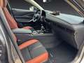 Mazda CX-30 2.0L e-SKYACTIV X FWD Nagisa Grau - thumbnail 11