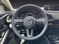 Mazda CX-30 2.0L e-SKYACTIV X FWD Nagisa Grau - thumbnail 12