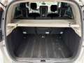 Renault Scenic III Dynamique-KLIMA-NAVI-TEMPOMAT Grau - thumbnail 16