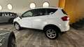 Ford Kuga + 2.0 TDCi 136 CV 2WD DPF Weiß - thumbnail 3