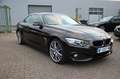 BMW 420 i Cabrio, LED, SHZ, Memory Braun - thumbnail 7
