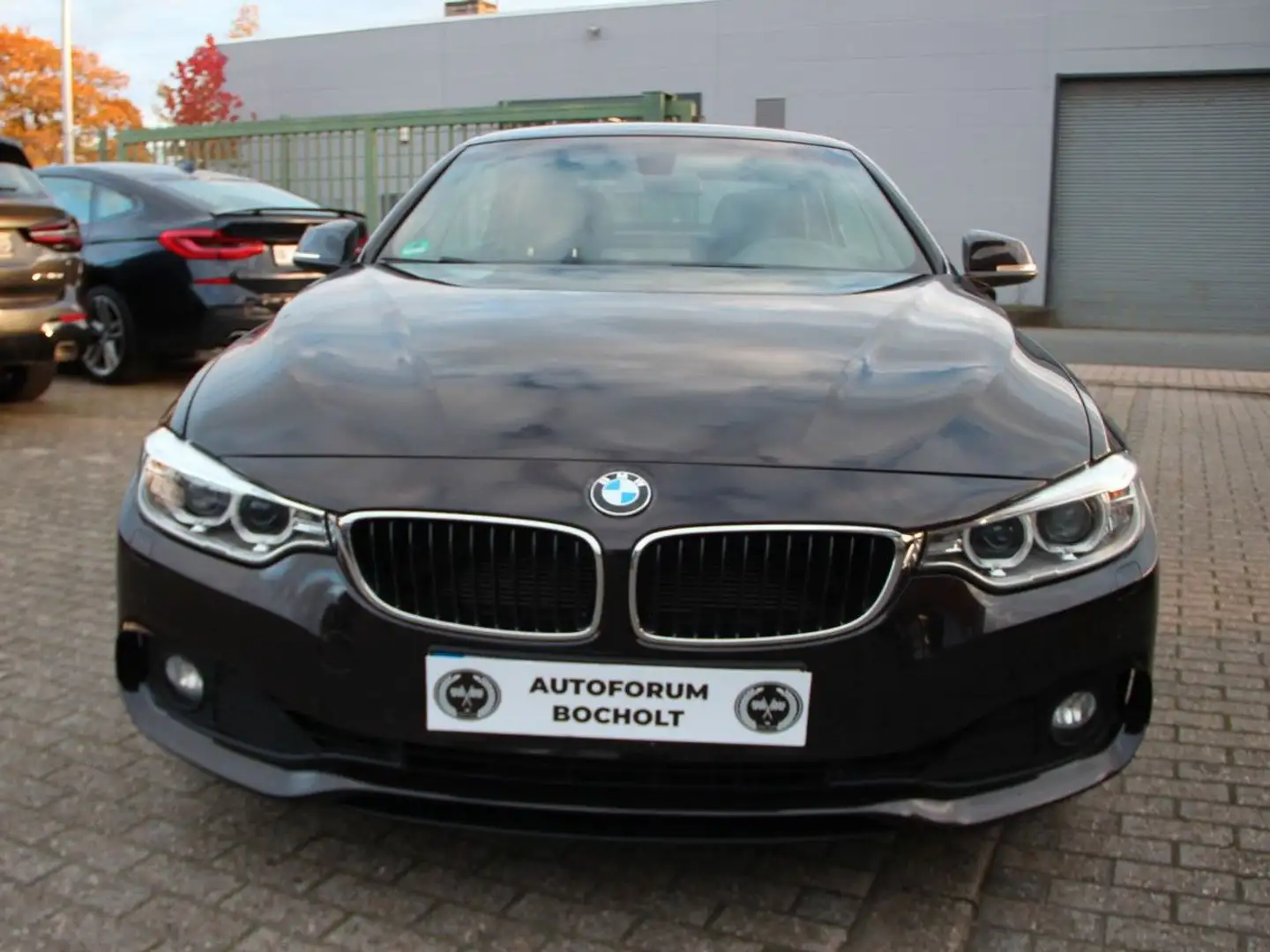 BMW 420 i Cabrio, LED, SHZ, Memory Braun - 1