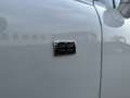 Bentley Continental GT W12 1st Edition Weiß - thumbnail 4