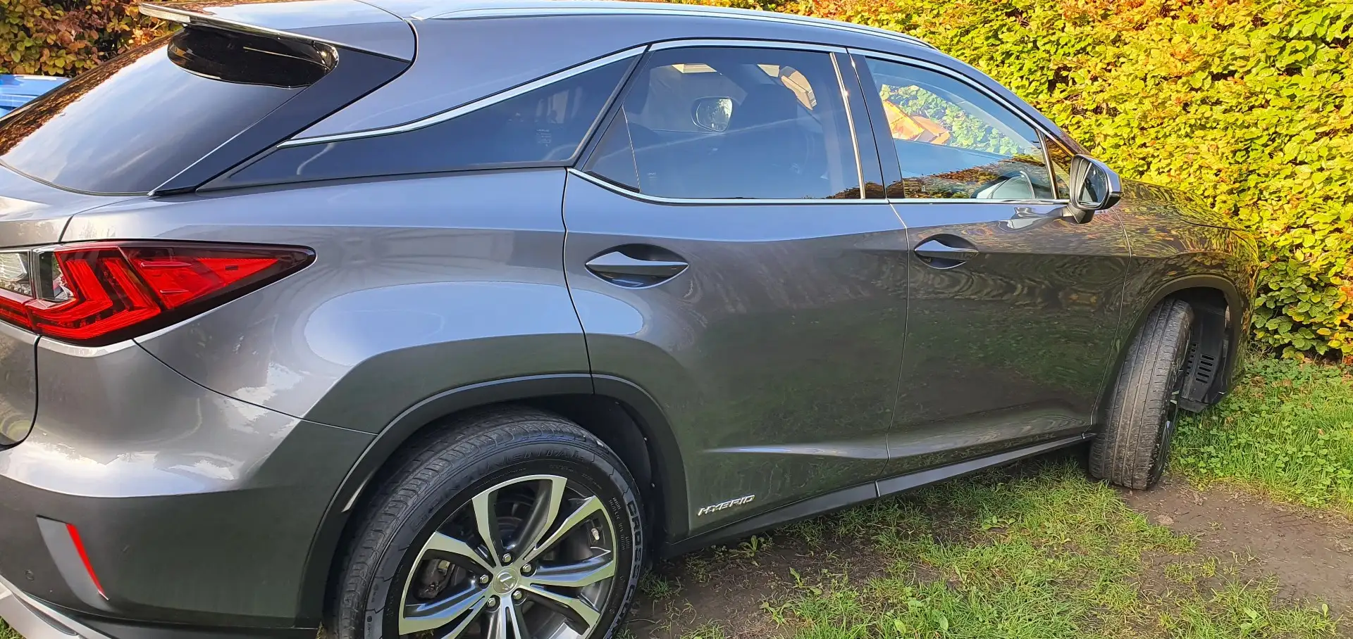 Lexus RX 450h (hybrid) Luxury Line - 1