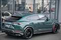 Lamborghini Urus *Full Carbon* Akrapovic* Verde Hydra !* 23 Groen - thumbnail 44