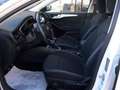 Ford Focus SW 1.5 ecoblue 120CV Titanium Edition Blanc - thumbnail 5