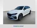 Skoda Scala Selection 1,0l TSI DSG *RFK KLIMA TEMPO AHK* Weiß - thumbnail 1