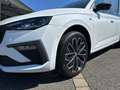 Skoda Scala Selection 1,0l TSI DSG *RFK KLIMA TEMPO AHK* Weiß - thumbnail 12