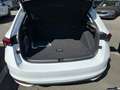 Skoda Scala Selection 1,0l TSI DSG *RFK KLIMA TEMPO AHK* Blanc - thumbnail 13