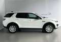 Land Rover Discovery Sport AWD Aut. *Kamera*Spur*SitzH*TempoM Weiß - thumbnail 4