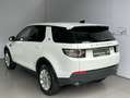 Land Rover Discovery Sport AWD Aut. *Kamera*Spur*SitzH*TempoM Weiß - thumbnail 2