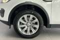 Land Rover Discovery Sport AWD Aut. *Kamera*Spur*SitzH*TempoM Weiß - thumbnail 3