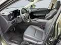Lexus NX 350h E-FOUR Executive Line *LED*HUD*360°*Pano* Zielony - thumbnail 8