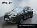 Lexus NX 350h E-FOUR Executive Line *LED*HUD*360°*Pano* Zielony - thumbnail 1