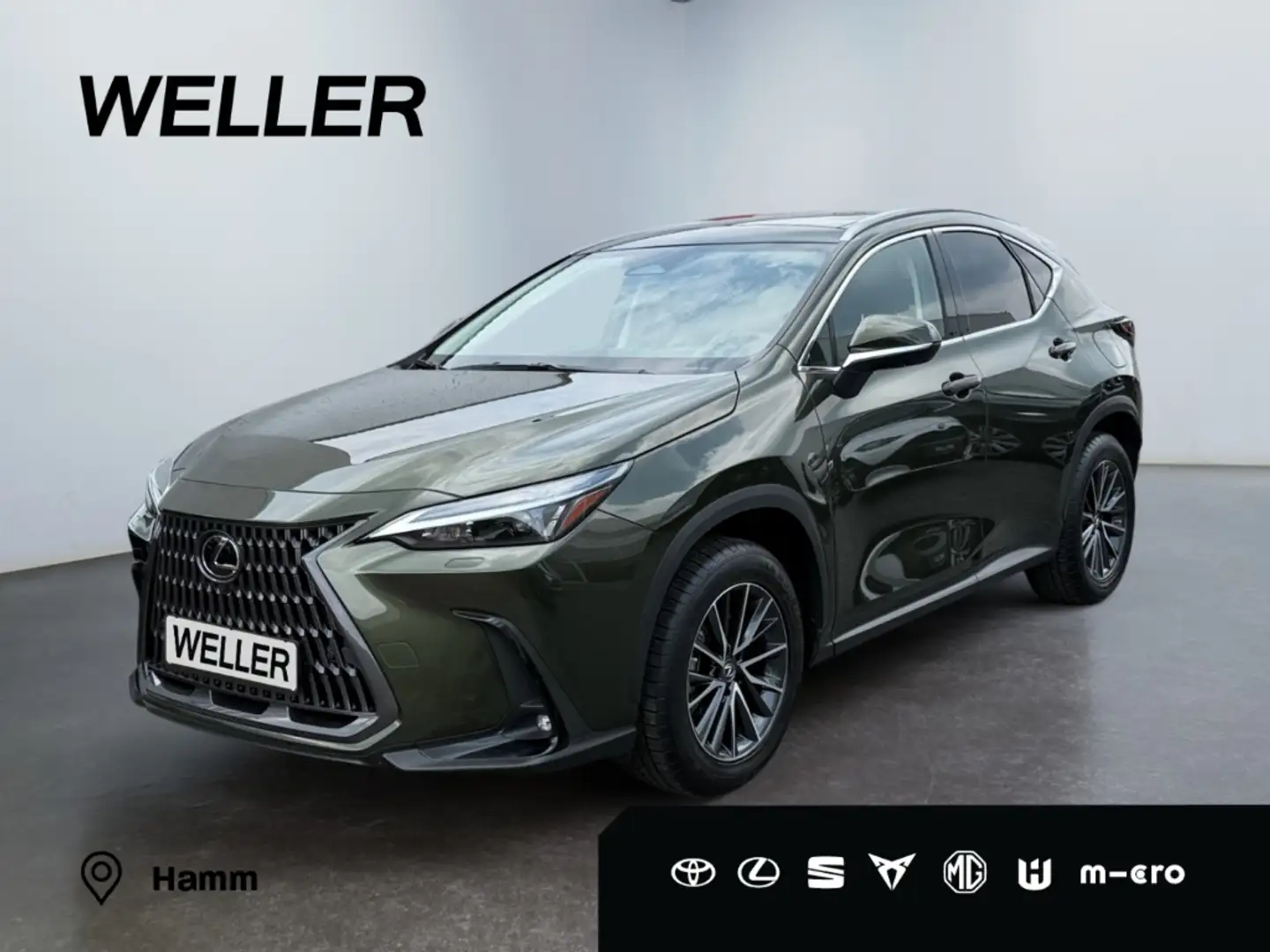 Lexus NX 350h E-FOUR Executive Line *LED*HUD*360°*Pano* Zielony - 1