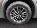Lexus NX 350h E-FOUR Executive Line *LED*HUD*360°*Pano* Grün - thumbnail 21