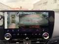 Lexus NX 350h E-FOUR Executive Line *LED*HUD*360°*Pano* Grün - thumbnail 26
