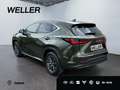 Lexus NX 350h E-FOUR Executive Line *LED*HUD*360°*Pano* Zielony - thumbnail 7
