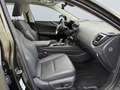 Lexus NX 350h E-FOUR Executive Line *LED*HUD*360°*Pano* Grün - thumbnail 20