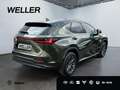 Lexus NX 350h E-FOUR Executive Line *LED*HUD*360°*Pano* Grün - thumbnail 18