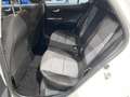 Kia Stonic Urban Bianco - thumbnail 13