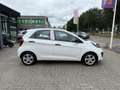 Kia Picanto 1.0 CVVT ComfortLine Bianco - thumbnail 4