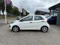 Kia Picanto 1.0 CVVT ComfortLine Bianco - thumbnail 5