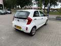 Kia Picanto 1.0 CVVT ComfortLine Bianco - thumbnail 7