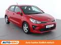 Kia Rio 1.2 Silber Rot - thumbnail 8